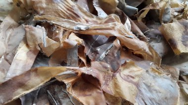 Eski püskü paçavralar. Kirli çöp arka planı