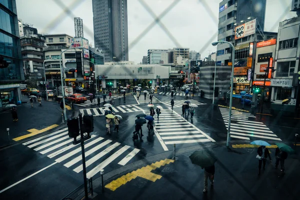 ときに雨が降って、東京渋谷の横断歩道 — ストック写真