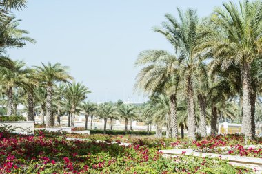 bahçeleri Ulu Camii abu Dhabi'deki / daki oteller