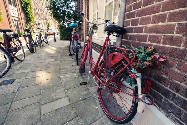 Cykel med rosor på amsterdam street — Stockfoto