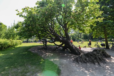 Vondelpark. Amsterdam, Hollanda