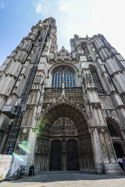 Katedralen i vår dam i antwerpen — Stockfoto