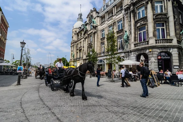 At at arabasıyla sokakta antwerpen, Belçika — Stok fotoğraf