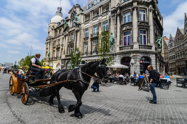 Caballo vagón en el centro turístico de Amberes — Foto de Stock