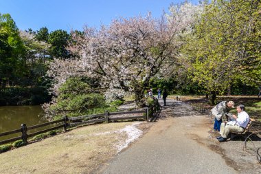 tokyo, Shinjuku gyoen Ulusal Bahçe