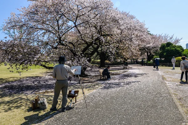 Um artista no parque Shinjuku Gyoen em Tóquio — Fotografia de Stock