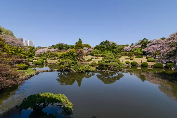 在东京新宿御苑国家花园 — 图库照片