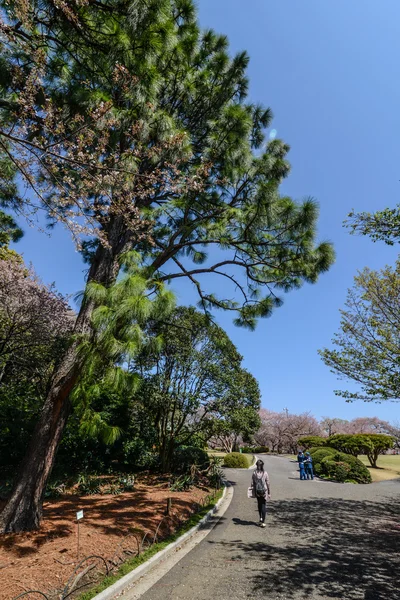 Tokyo, japan — Stockfoto