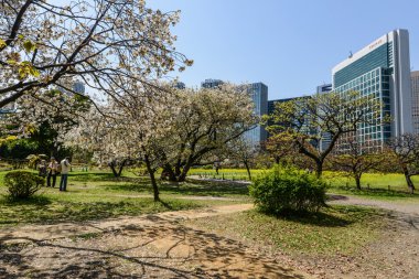 Tokyo, Japonya 'ya park et.