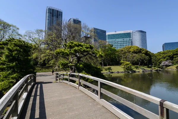 Tokyo'da parkı — Stok fotoğraf