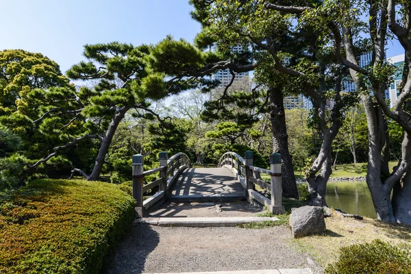 Park i tokyo在东京公园 — 图库照片