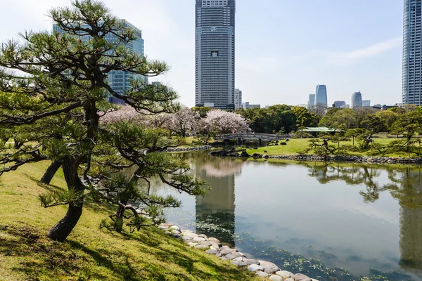 Park i Tokyo – stockfoto