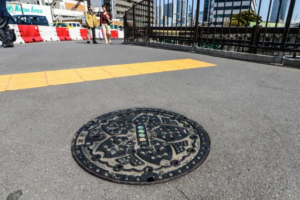 東京の街で孵化します。 — ストック写真