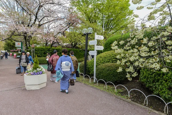 着物、東京、日本での女性 — ストック写真