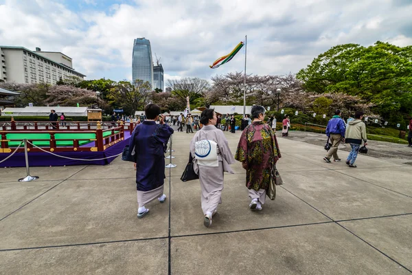 Dames in nationale Japans kleden kimono, tokyo — Stockfoto