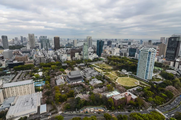 Tokyo vy uppifrån, japan — Stockfoto