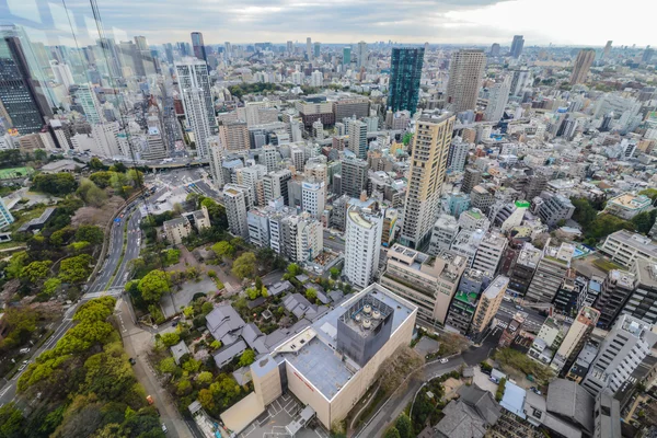 Tokyo vy uppifrån, japan — Stockfoto