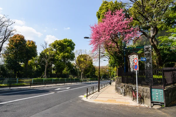 Perto do parque Ueno, em Tóquio, Japão — Fotografia de Stock