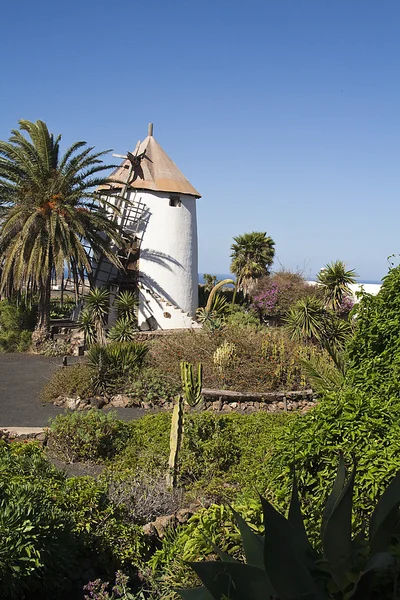 Moulin à vent à Lanzarote — Photo