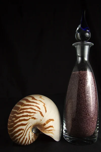 Nautilus und Flasche — Stockfoto