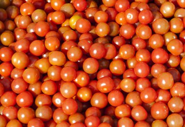 Bazı kiraz domates, semt pazarı