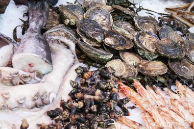 deniz ürünleri