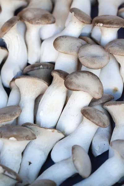 Alcuni funghi a mercato di strada — Foto Stock