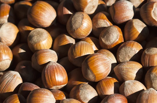 Some hazelnuts at street market — Stock Photo, Image