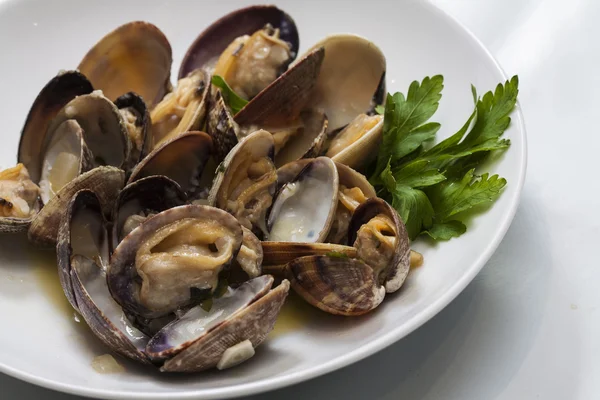 Steamed clams — Stock Photo, Image