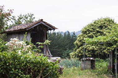 tipik İspanyol ahır