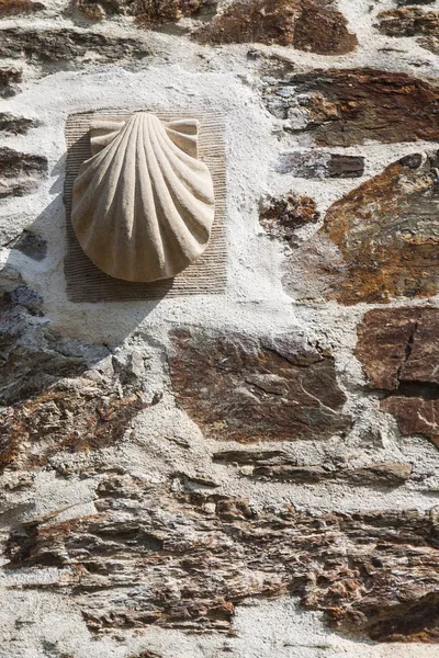 Scallop sur mur de pierre — Photo