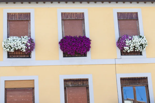 Flower decorated windows — Stock Photo, Image