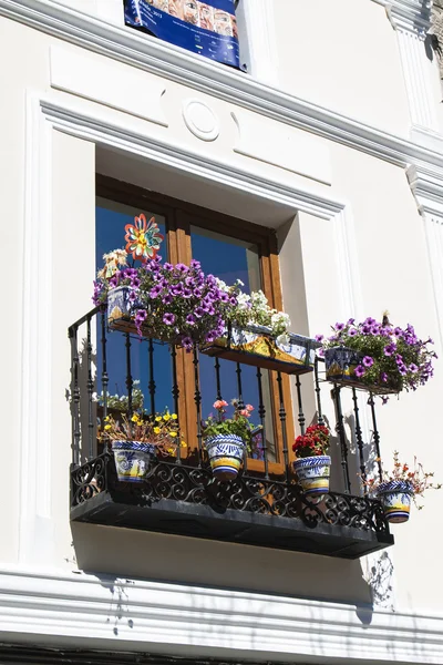 dekore edilmiş çiçek windows