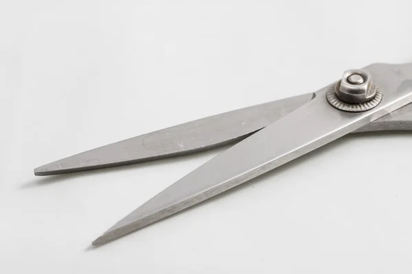 Scissors on a white background — Stock Photo, Image