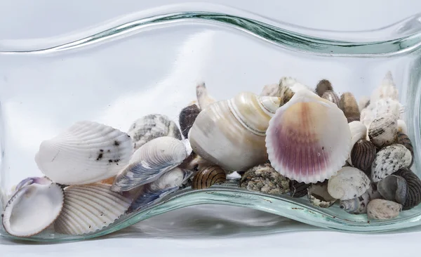 Glass bottle with some seashells — Stock Photo, Image