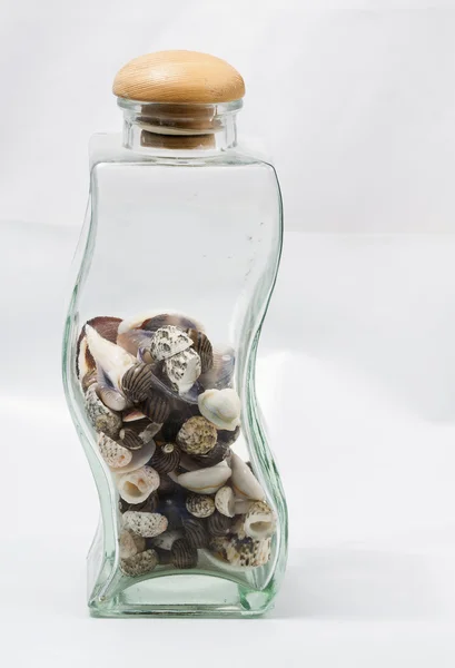 Botella de vidrio con algunas conchas marinas — Foto de Stock