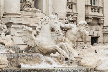 Roma - fontana di trevi