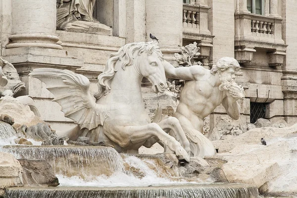Roma - fontana di trevi
