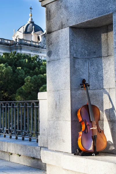 Instrumentos de cuerda en sabatini garderns — Foto de Stock