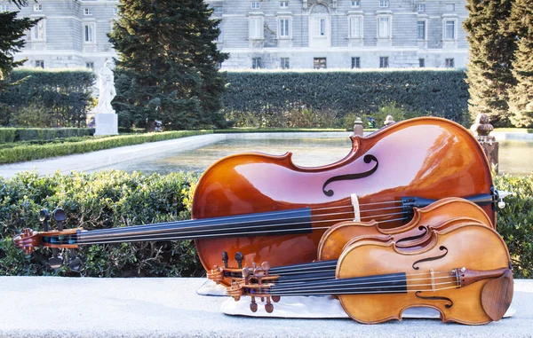 sabatini garderns, yaylı aletler