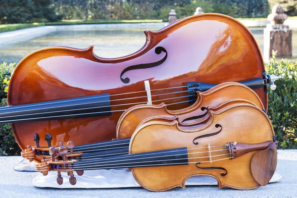 sabatini garderns, yaylı aletler