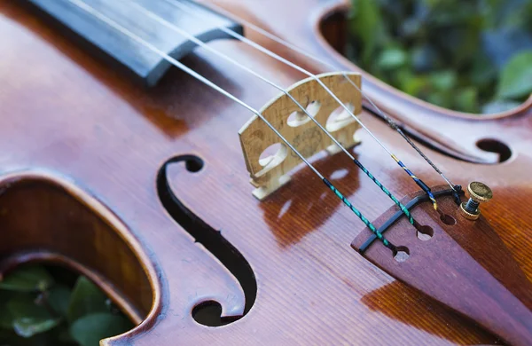 sabatini garderns, yaylı aletler