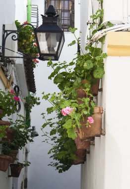 typische kleurrijke keramische Andalusische platen