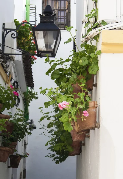 Narrow street with flowers in Cordoba — Stock Photo, Image