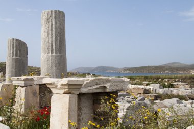 delos archeologic sitesindeki antik sütunlar
