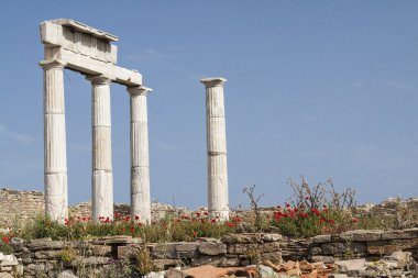 delos archeologic sitesindeki antik sütunlar
