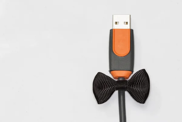 Kurdele ile USB girişi — Stok fotoğraf