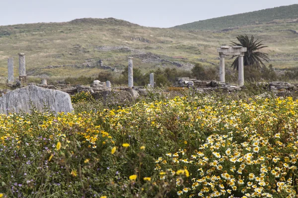 Colunas antigas no sítio arqueológico de Delos — Fotografia de Stock