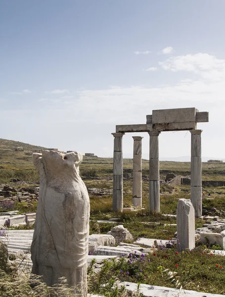 delos archeologic sitesindeki antik sütunlar