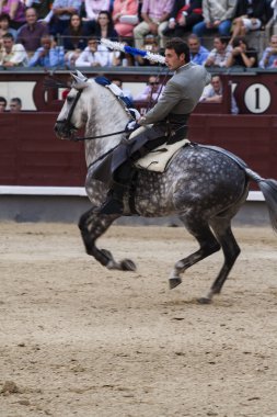 Madrid'deki las ventas Arena rejoneo. rejoneador: sergio galan